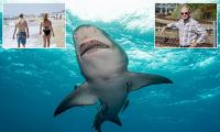 Idiotic new trend that sees New Jersey visitors FEED sharks so they can pose for photos with them sparks fears of attack surge