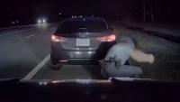 Arkansas woman sues trooper after dashcam shows punch during traffic stop