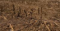 Oregon offers grants to fix water shortages in small towns