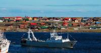 Falklands pause Loligo squid fishing for two weeks over low biomass