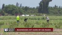 Push for deportations hurts plant nursery businesses in Miami-Dade