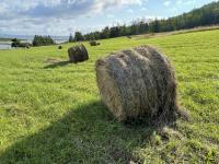 Province Invests in Agriculture Equipment for Cape Breton Farmers