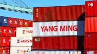 Geopolitics, tariffs to sway second-half shipping outlook: Yang Ming