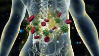 Autoimmune disorders to take centre stage at upcoming Ayurveda conference at Udupi