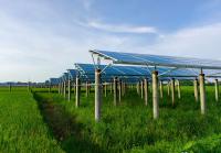European Energy Secures $270 Million for 225 MW Agri-PV Project