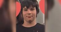 Search for missing Vienna teen to enter third day