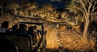 Asia’s first night safari to come up in Deesa