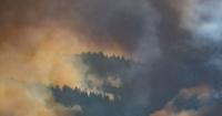 The lasting effects of Utah’s wildfires: By the numbers