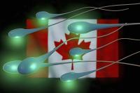Canada to End Sperm Donation Restrictions on Gay Men