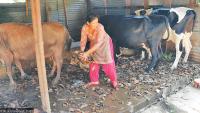 How Ribdikot built a Rs460 million farming economy