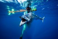 The Ultimate Guide to Spearfishing, the Coolest Way to Catch Fish