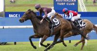 Racing NSW: Expert tips for Rosehill's 10-race card