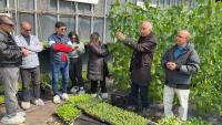 Passive Solar Greenhouses: Could Be the Key to Local Food in Northern Climates