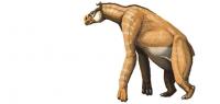 Mad about Science: Chalicotheriidae