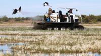 West Nile Virus found in one-third of mosquitos sampled within Salt Lake City district