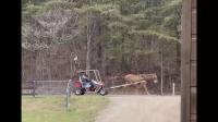 Have You Seen This? Mule-drawn golf cart offers hilarious transportation alternative