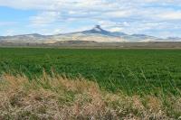Cody, Wyoming: Where the West is Still Wild