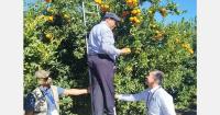 South Africa’s citrus industry marks inaugural annual citrus day