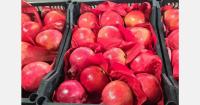 Egyptian pomegranate season gets underway