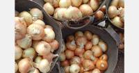 "Demand for Egyptian onions this season fell short of expectations"