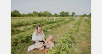 “Growing for ourselves what we could not find in France"
