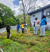 Cepep workers begin farming transition in Tobago