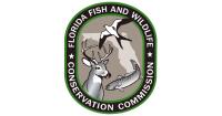 Florida wildlife officials investigate deadly bear shooting in Marion County