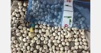 China’s new garlic harvest is set to rise 15%-20%, while tight high-quality supplies support prices