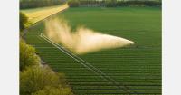 “Despite the extreme weather, it once again shows how unique the delta is where we grow our vegetables”