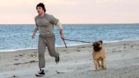 Zurich Film Festival: Peter Farrelly’s ‘I Play Rocky’ & Channing Tatum Starrer ‘Josephine’ Among Gala Titles