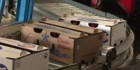 Colorado law takes effect banning false ‘Colorado-grown’ labels on produce