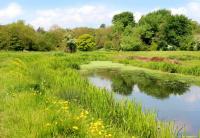 Grants of up to £10,000 available for environmental projects from Cambridge Water’s PEBBLE fund