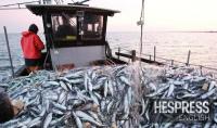Laayoune fishing landings rise 56% in first seven months of 2026