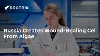 Russia Creates Wound-Healing Gel From Algae