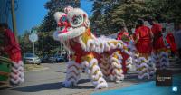 Multicultural Festival returns Saturday with ‘Roots Across the World’ theme