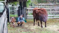 Collingwood Children's Farm