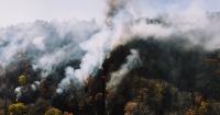 Croatia Wildfire Map: Omiš Fire Forces 1,000 to Evacuate as 36 Are Injured