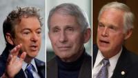 The GOP Wants To Take Down Fauci—and Is Putting Pregnant Women in the Crossfire