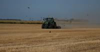 A punishing European drought shrivels crops from Dutch potatoes to Bosnian corn