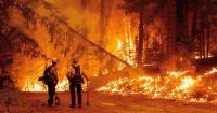 Ten wildfires remain active across Albania
