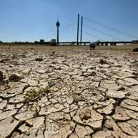 Germany's dry rivers spark battle on engineering vs restoration