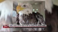 Humane Wildlife Indiana works to care for animals affected by severe storms