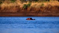 Body of girl, 1, pulled from water after Kenya river hippo attack with another missing