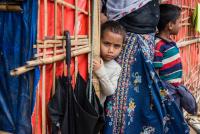 How climate crisis is redefining home and who counts as a refugee
