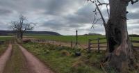 Vast 131-acre battery park on Cumbrian farmland could be one of Europe's biggest