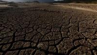 Africa faces $20 Billion hit as super El Niño threatens drought, wildfires