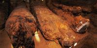 Infectious 'mummy's curse' could be unleashed on Earth thanks to grisly global trade in human heads
