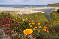 Once overrun by all-night raves, famed singer’s former beach property opens as new coastal park