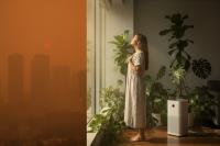 Air Quality Expert Offers Guidance on Reducing Health Risks from Outdoor Pollution