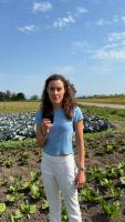 Swiss voters to decide on government support for plant-based food production